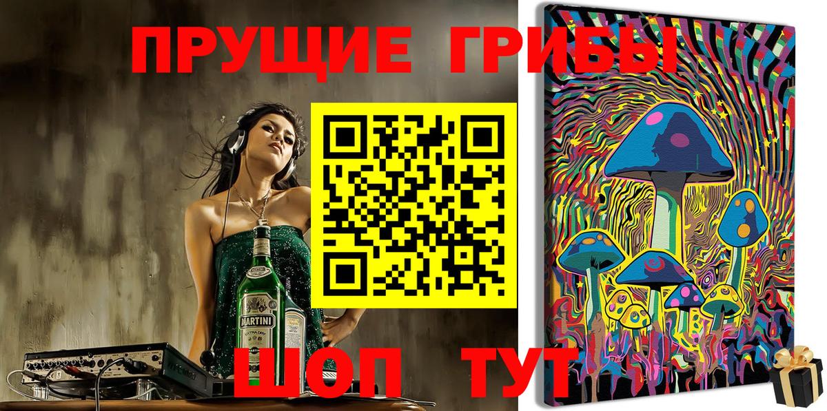 Галлюциногенные грибы Psilocybe Сызрань